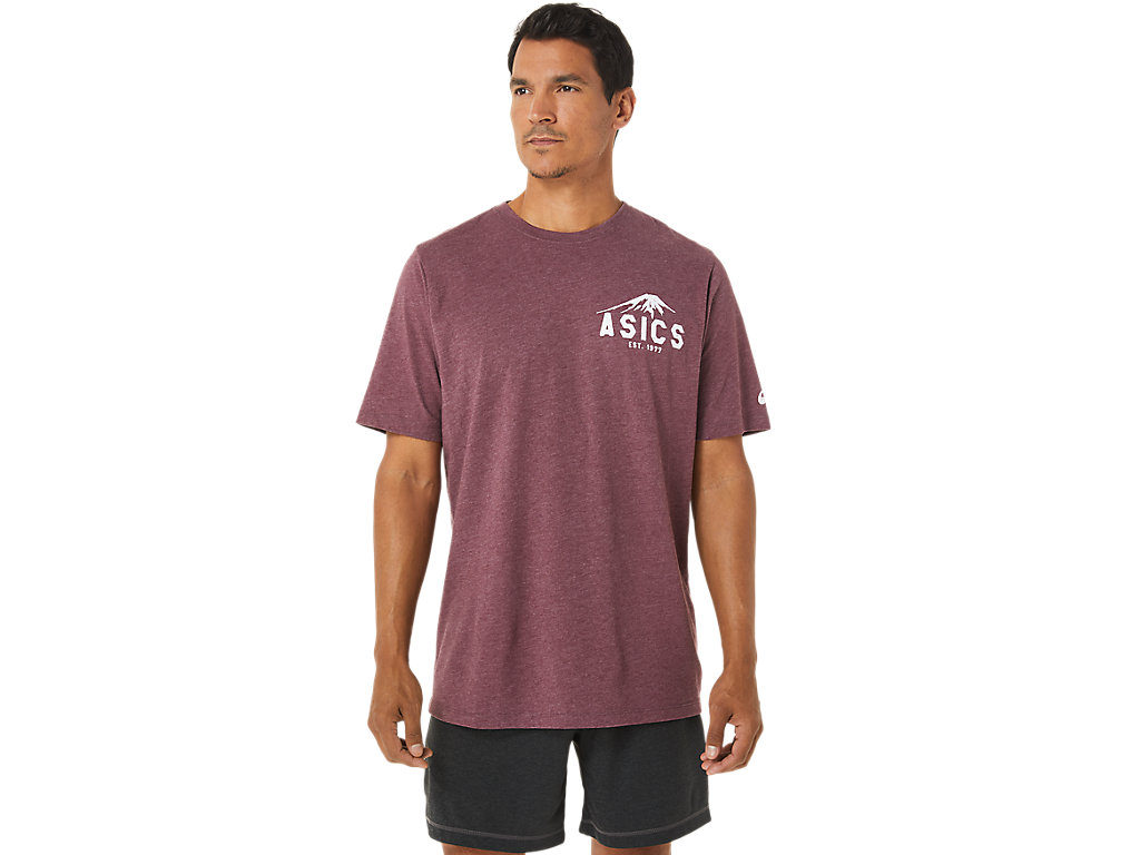 Camiseta Asics Fuji 1977 Tee Masculino Bordeaux Vermelhas | 8437-AJZPI