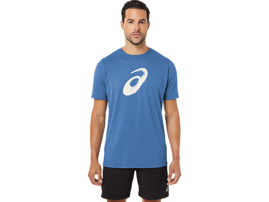 Camiseta Asics Paintbrush Sleeve Tee Masculino Azuis | 2614-UMATO