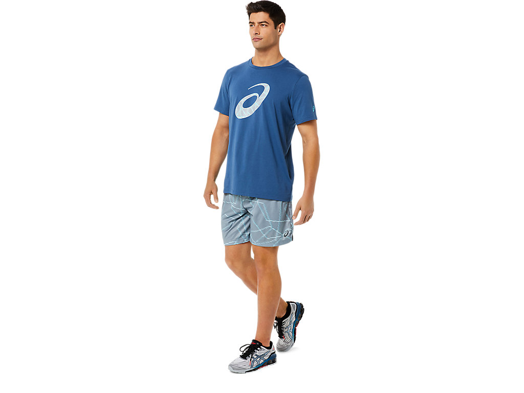 Calções Asics Seasonal All Over Prints Masculino Cinzentas | 3945-JKERV