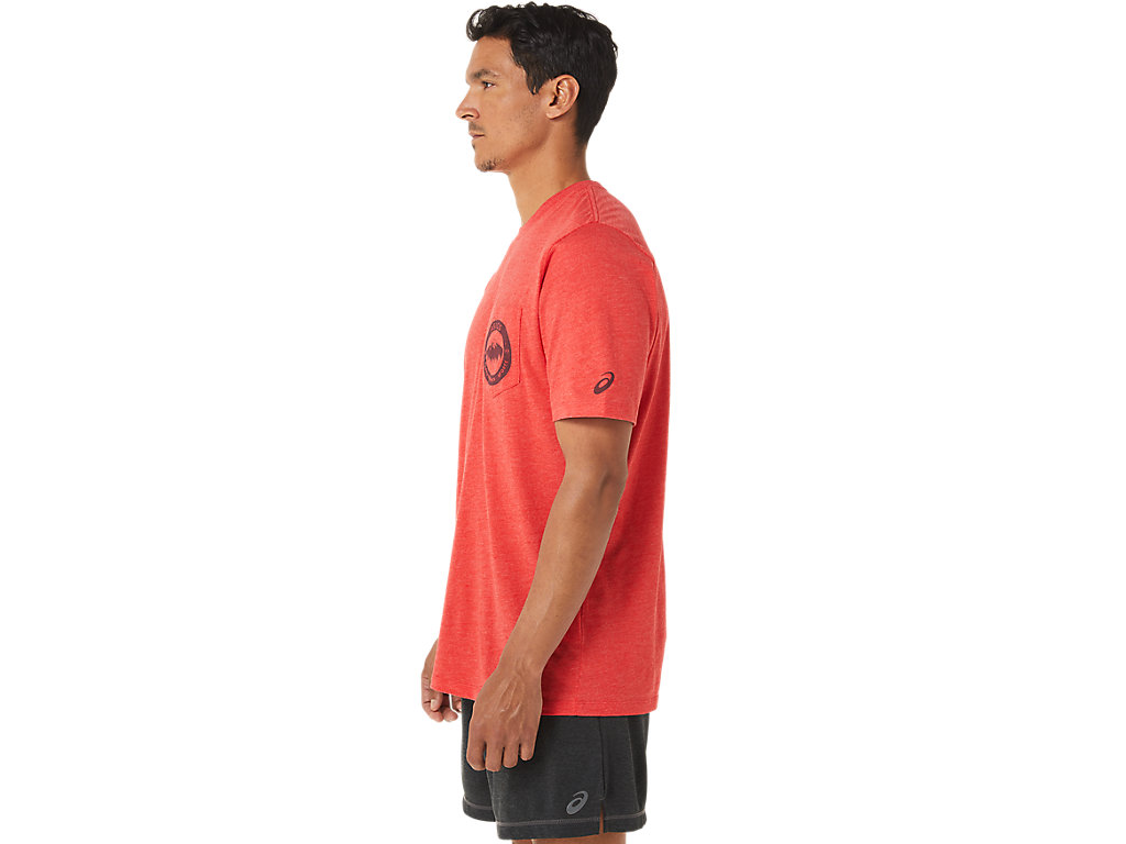 Camiseta Asics 1977 Mtn Pocket Tee Feminino Vermelhas | 3051-FESUX