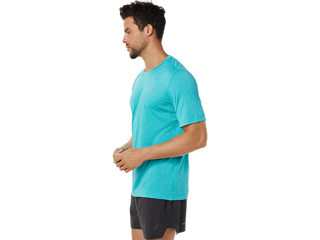 Camiseta Asics Curta Sleeve Performance Masculino Azuis | 3295-CHUVA