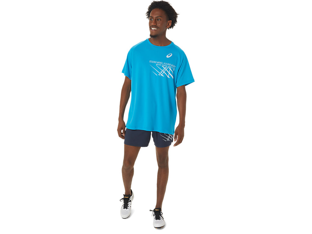 Camiseta Asics Finish Line Gráficas Sleeve Masculino Azuis | 2976-KNZWB