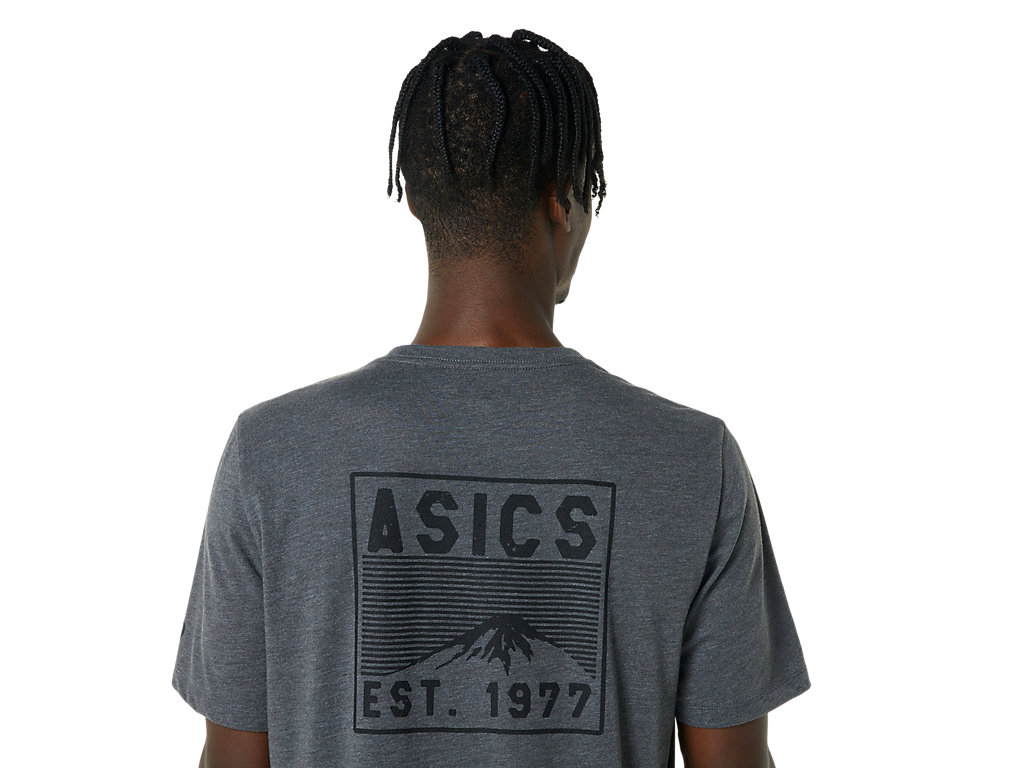 Camiseta Asics Fuji 1977 Tee Feminino Cinzentas Escuro | 9675-YUAFT