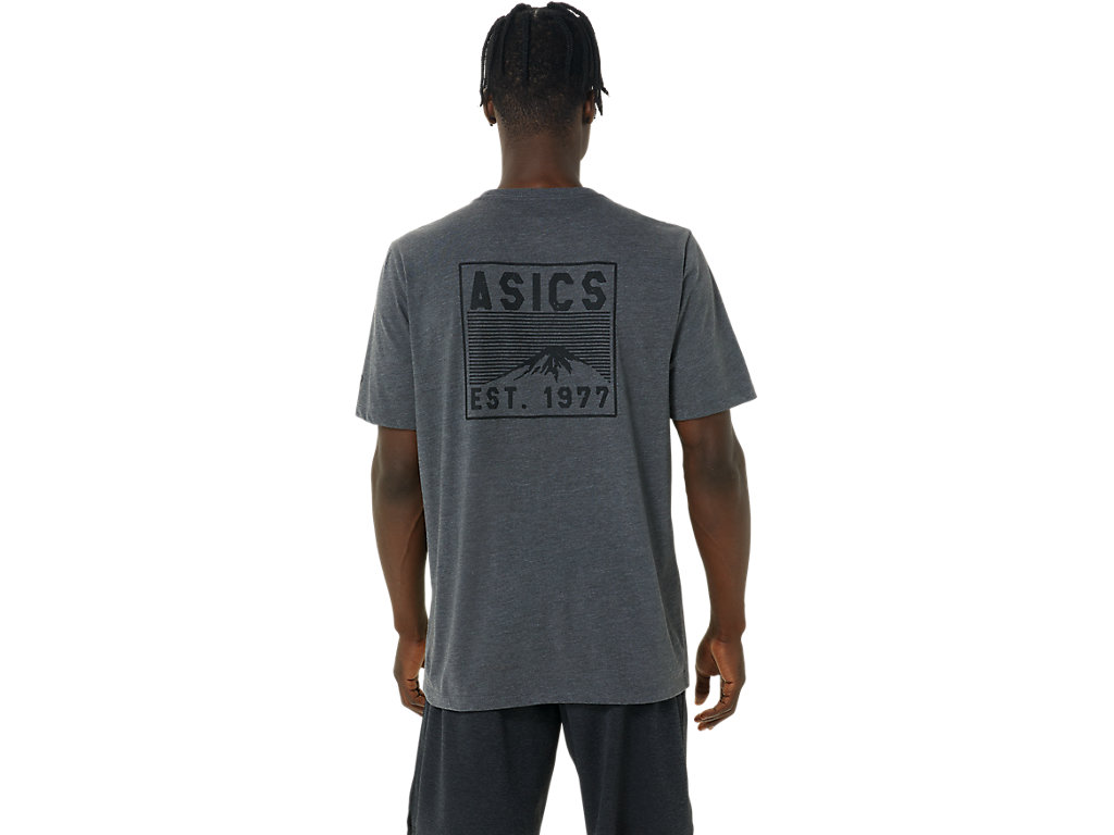 Camiseta Asics Fuji 1977 Tee Masculino Cinzentas Escuro | 2089-RTYEP