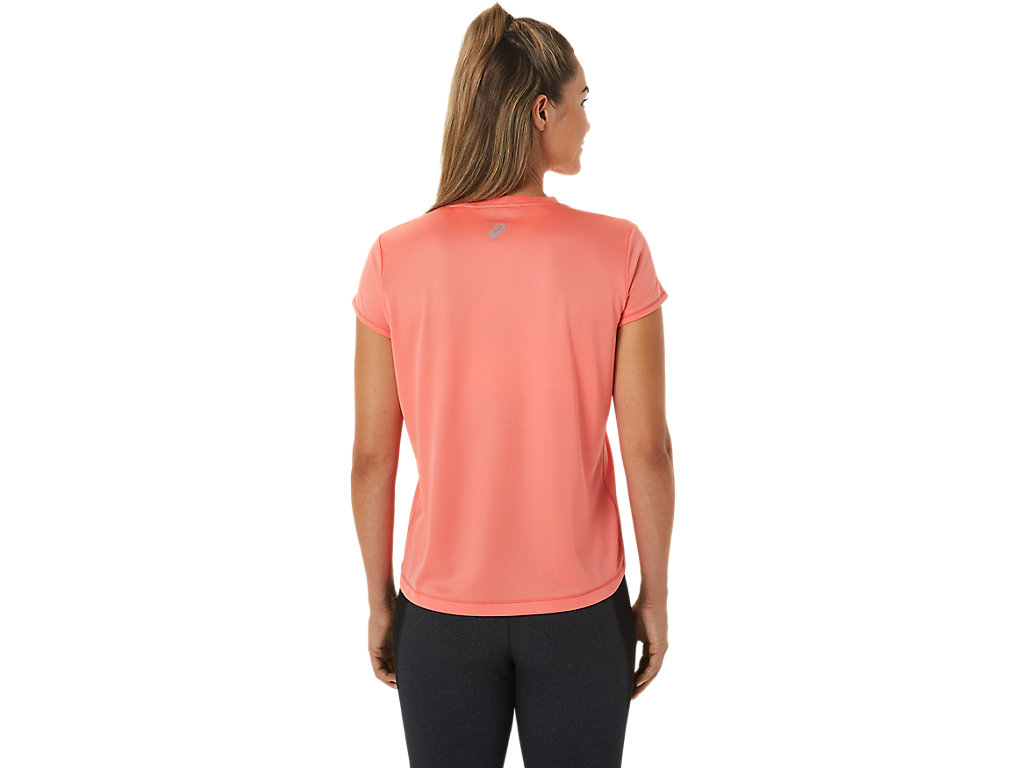 Camiseta Asics Fujitrail Logo Sleeve Feminino Rosa | 8179-RPXGU