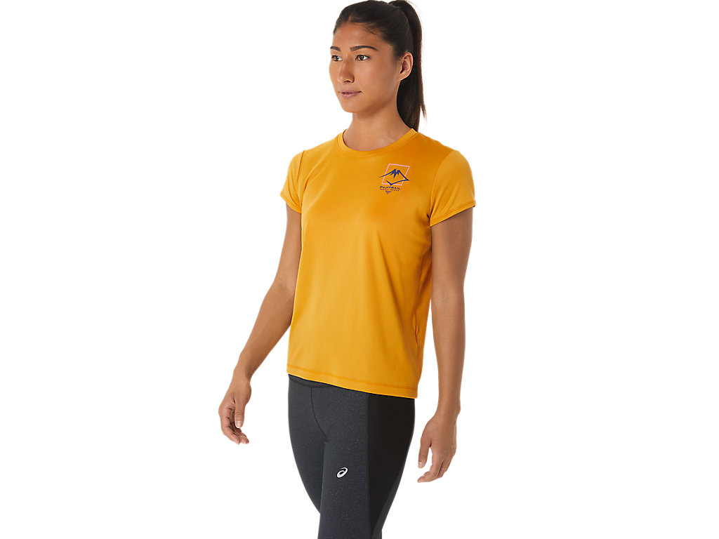 Camiseta Asics Fujitrail Logo Sleeve Feminino Bege | 8694-IKNBQ