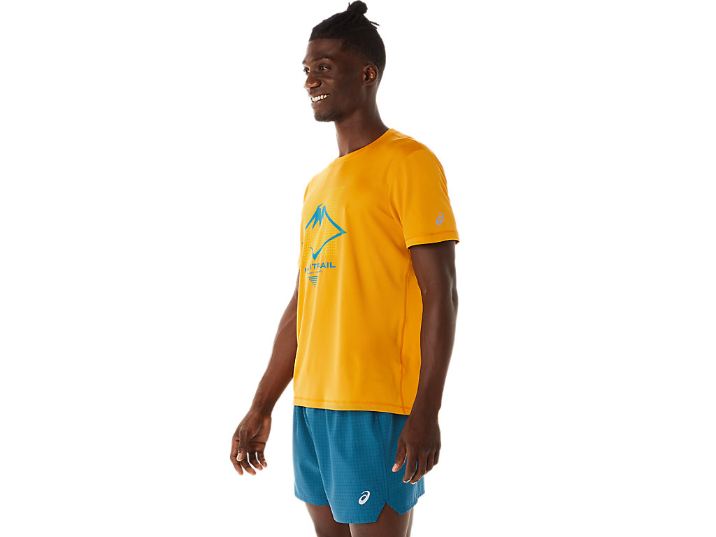 Camiseta Asics Fujitrail Logo Sleeve Masculino Bege | 9428-DNVGK