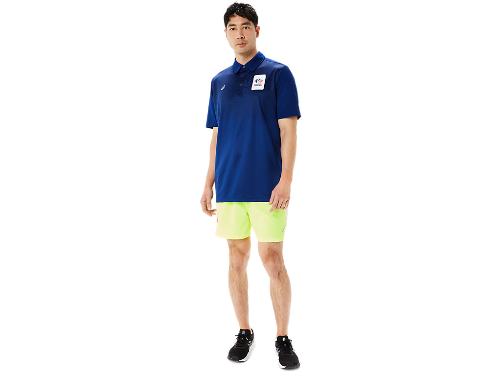 Camiseta Asics Hex Gradient Polo Wch Masculino Azuis Escuro | 9475-ZNIXY