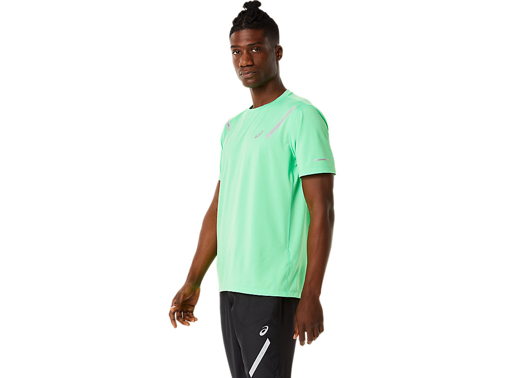 Camiseta Asics Lite-Show Sleeve Masculino Luz Cinzentas | 4036-NVWPZ