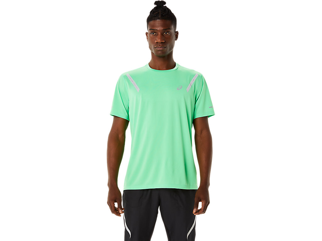 Camiseta Asics Lite-Show Sleeve Masculino Luz Cinzentas | 4036-NVWPZ