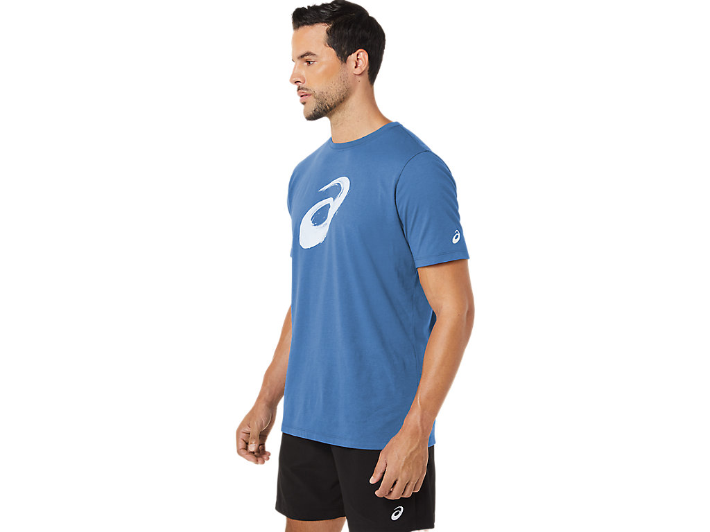 Camiseta Asics Paintbrush Sleeve Tee Masculino Azuis | 2614-UMATO