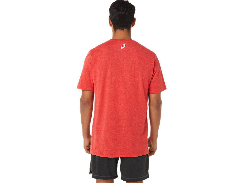 Camiseta Asics Stripe Sleeve Tee Masculino Vermelhas | 8213-JMBQY