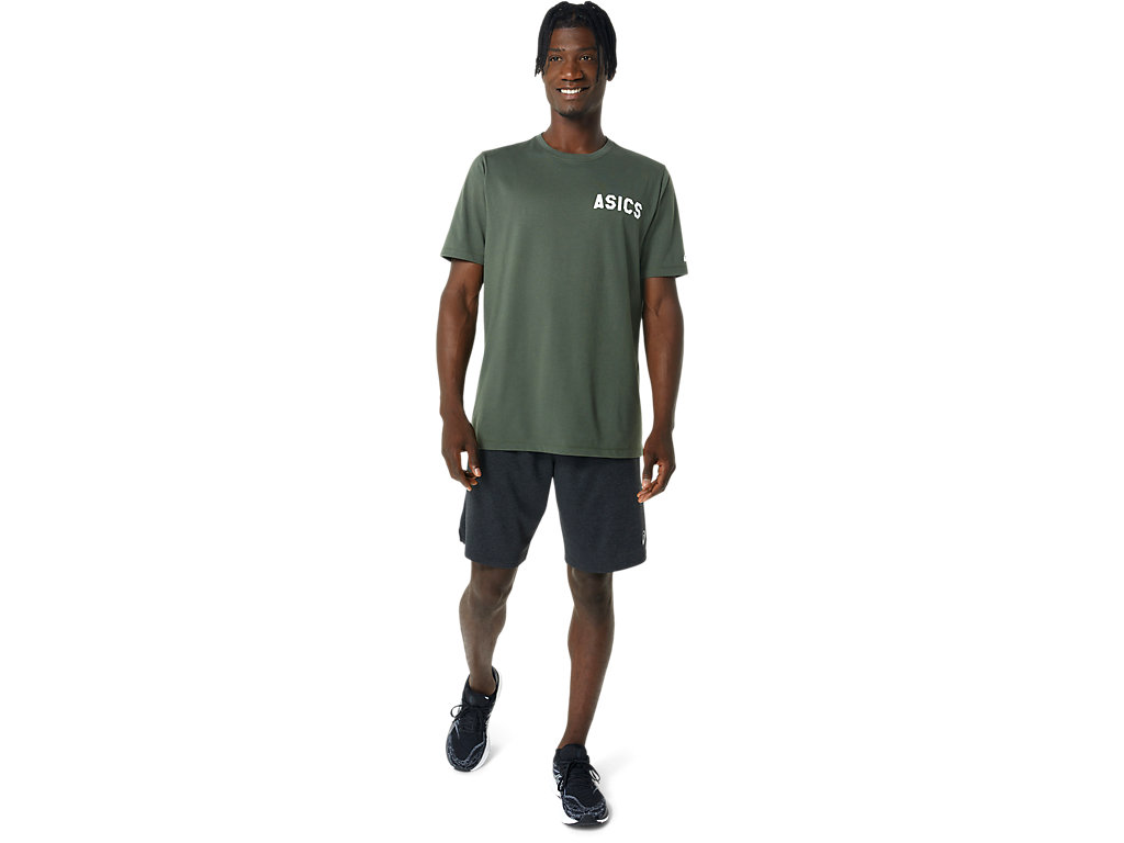 Camiseta Asics Stripes Sunrise Tee Masculino Verde Oliva | 6743-MQLWO