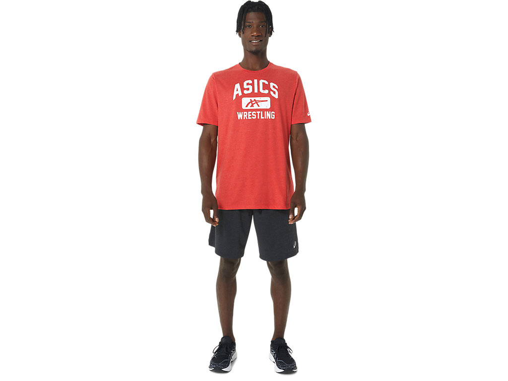 Camiseta Asics Unisex Wrestling Gráficas Tee Masculino Vermelhas | 0289-CPOFE