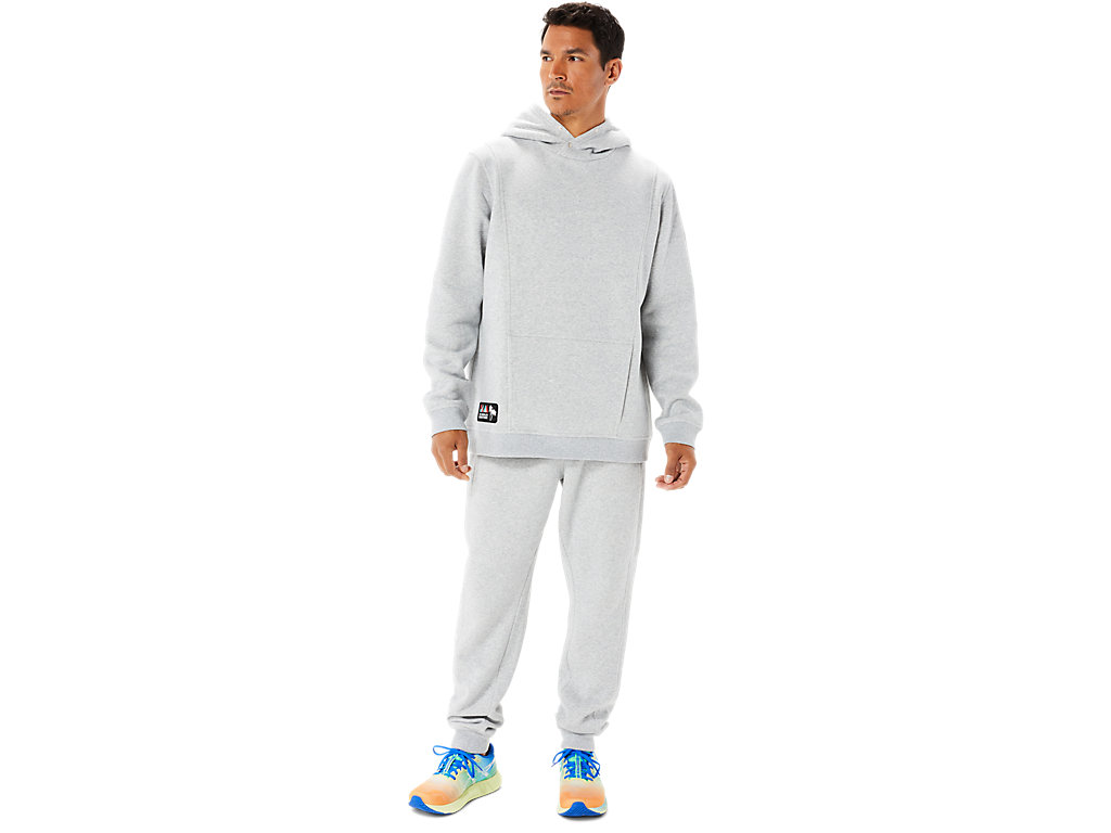 Moletom Com Capuz Asics Sunday Fleece Lam Masculino Luz Cinzentas | 4097-WSLGZ