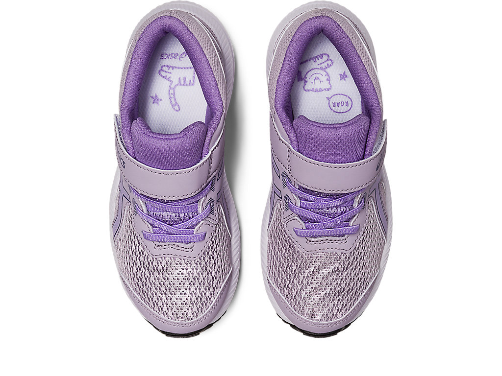 Running Shoes Asics Contend 8 Pre-School Criança Roxo Roxo | 4263-UBPKH