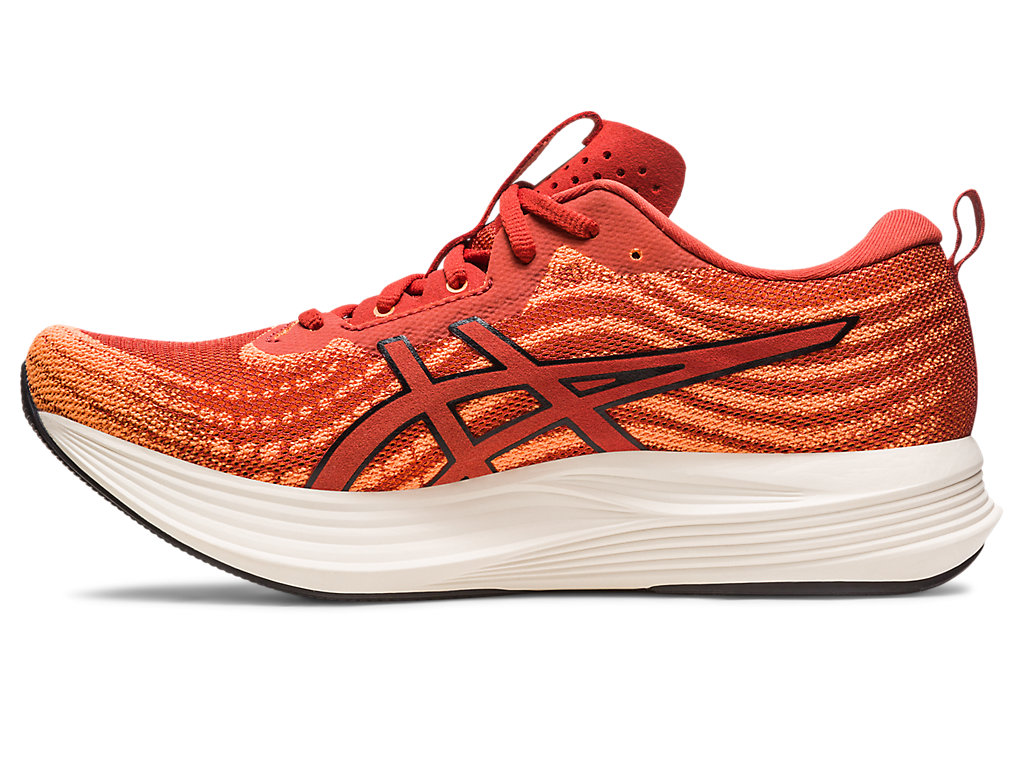 Running Shoes Asics Evoride Speed Masculino Marrom Pretas | 9136-XNZUG