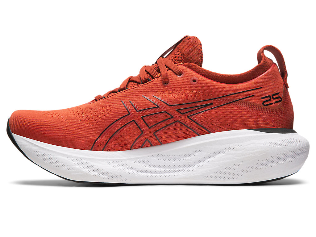 Running Shoes Asics Gel-Nimbus 25 Masculino Marrom Pretas | 7069-TSFKO