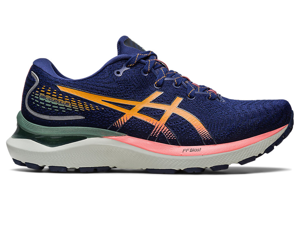 Sapatilhas Trail Running Asics Gel-Cumulus 24 Tr Nature Bathing Feminino Azul Marinho | 9362-SAREN