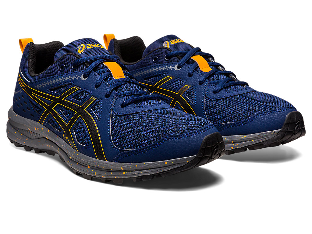 Sneakers Asics Torrance Trilha Masculino Azuis Pretas | 2093-FRJXN